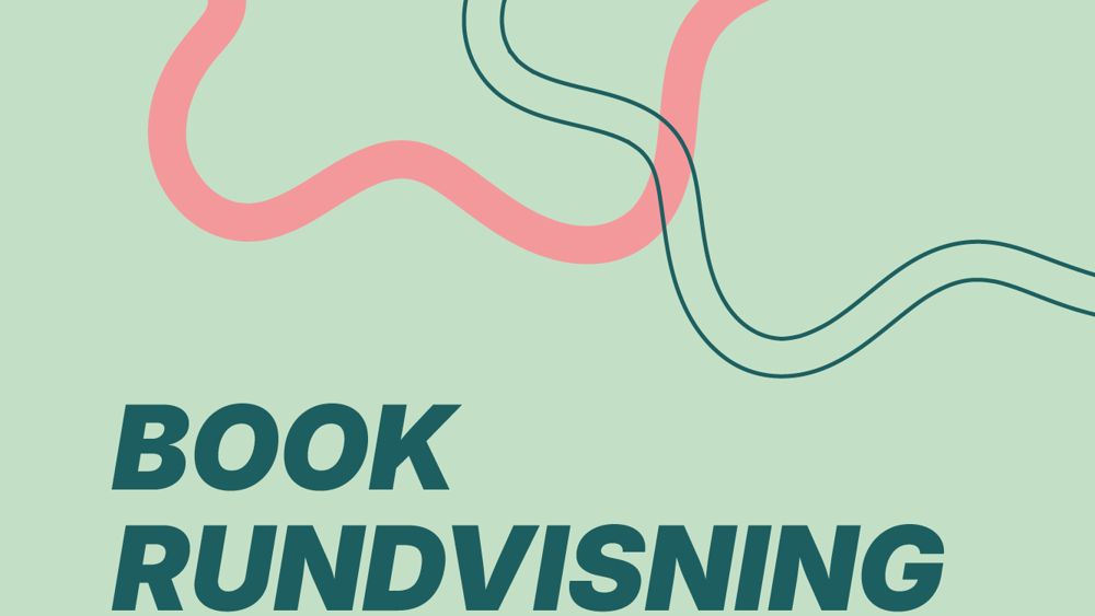 grafik web - book rundvisning4.png
